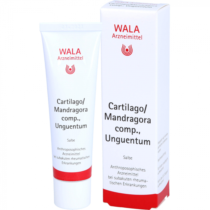 CARTILAGO/Mandragora comp Unguentum 30 g