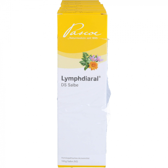 LYMPHDIARAL DS Salbe 5X100 g