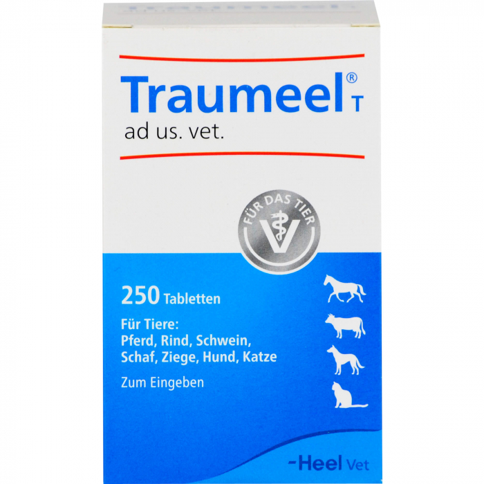 TRAUMEEL T ad us.vet.Tabletten 250 St