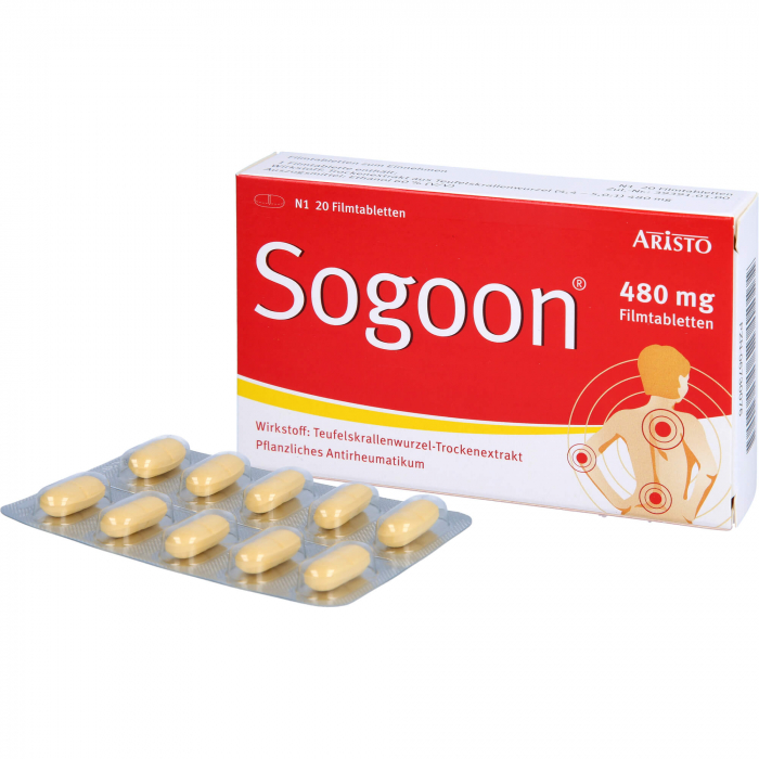 SOGOON 480 mg Filmtabletten 20 St