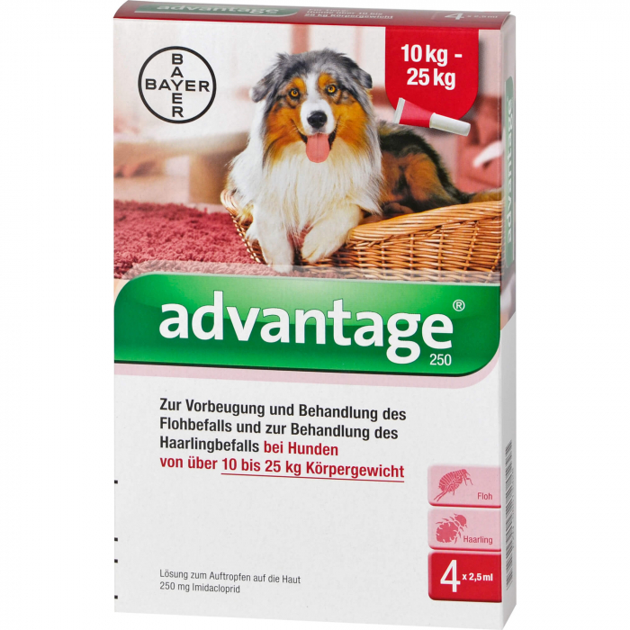 ADVANTAGE 250 Lösung f.Hunde 10-25 kg 4 St