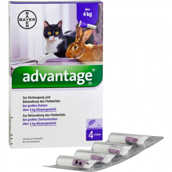 ADVANTAGE 80 mg f.gr.Katzen u.gr.Zierkaninchen 4X0.8 ml